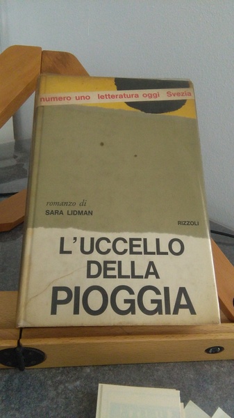 L'UCCELLO DELLA PIOGGIA