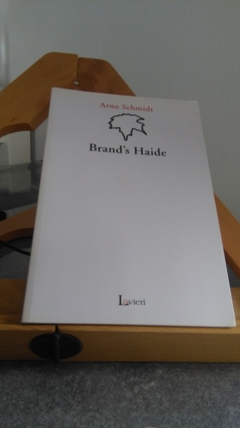 BRAND'S HAIDE