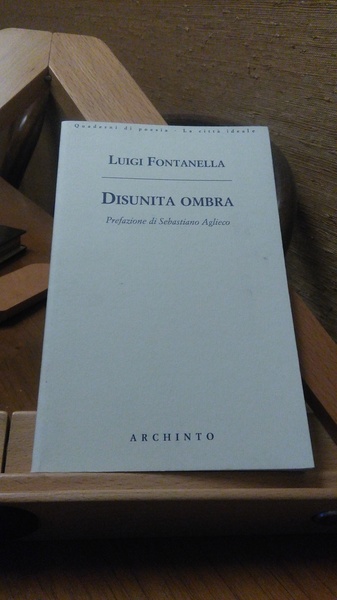 DISUNITA OMBRA