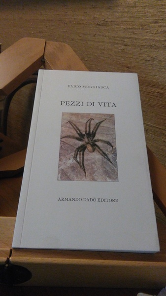 PEZZI DI VITA