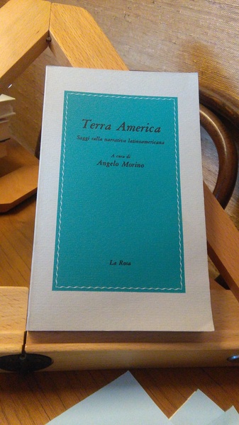 TERRA AMERICA. SAGGI SULLA NARRATIVA LATINOAMERICANA