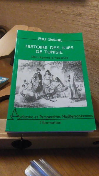 HISTOIRE DES JUIFS DE TUNISIE. DES ORIGINES AUX NOS JOURS