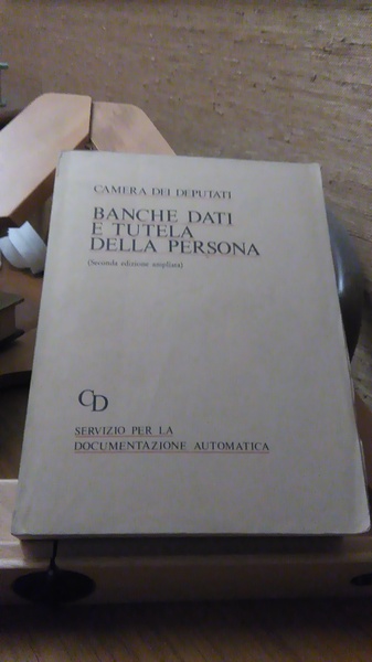 BANCHE DATI E TUTELA DELLA PERSONA