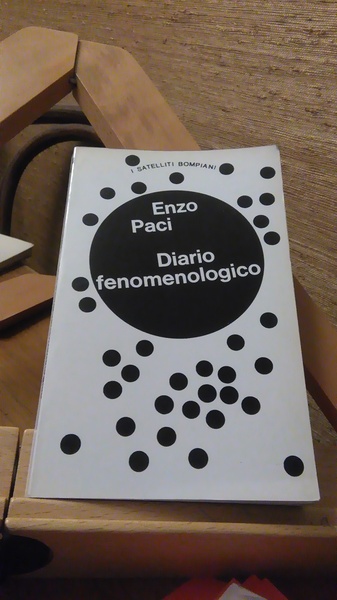 DIARIO FENOMENOLOGICO