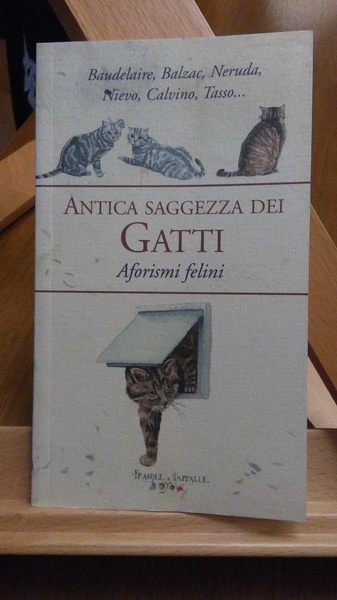 ANTICA SAGGEZZA DEI GATTI, AFORISMI FELINI