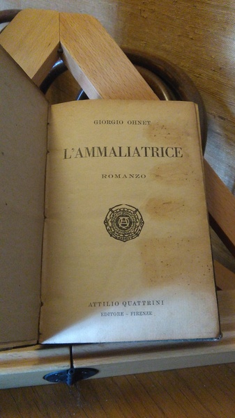 L'AMMALIATRICE