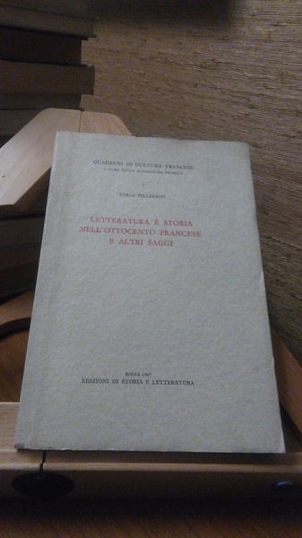 LETTERATURA E STORIA NELL'OTTOCENTO FRANCESE E ALTRI SAGGI