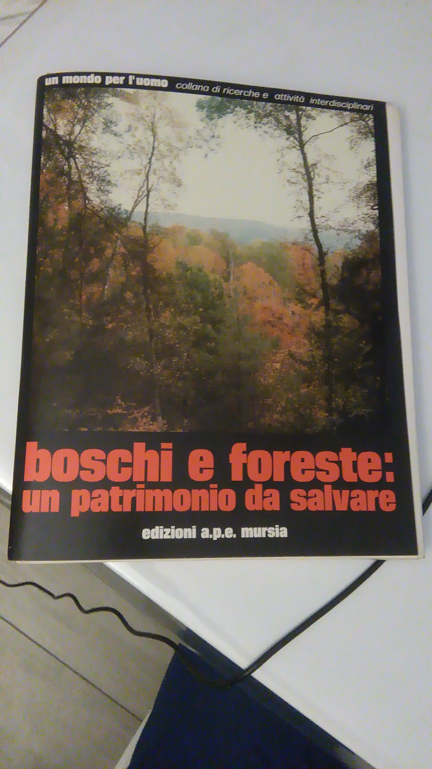 BOSCHI E FORESTE: UN PATRIMONIO DA SALVARE