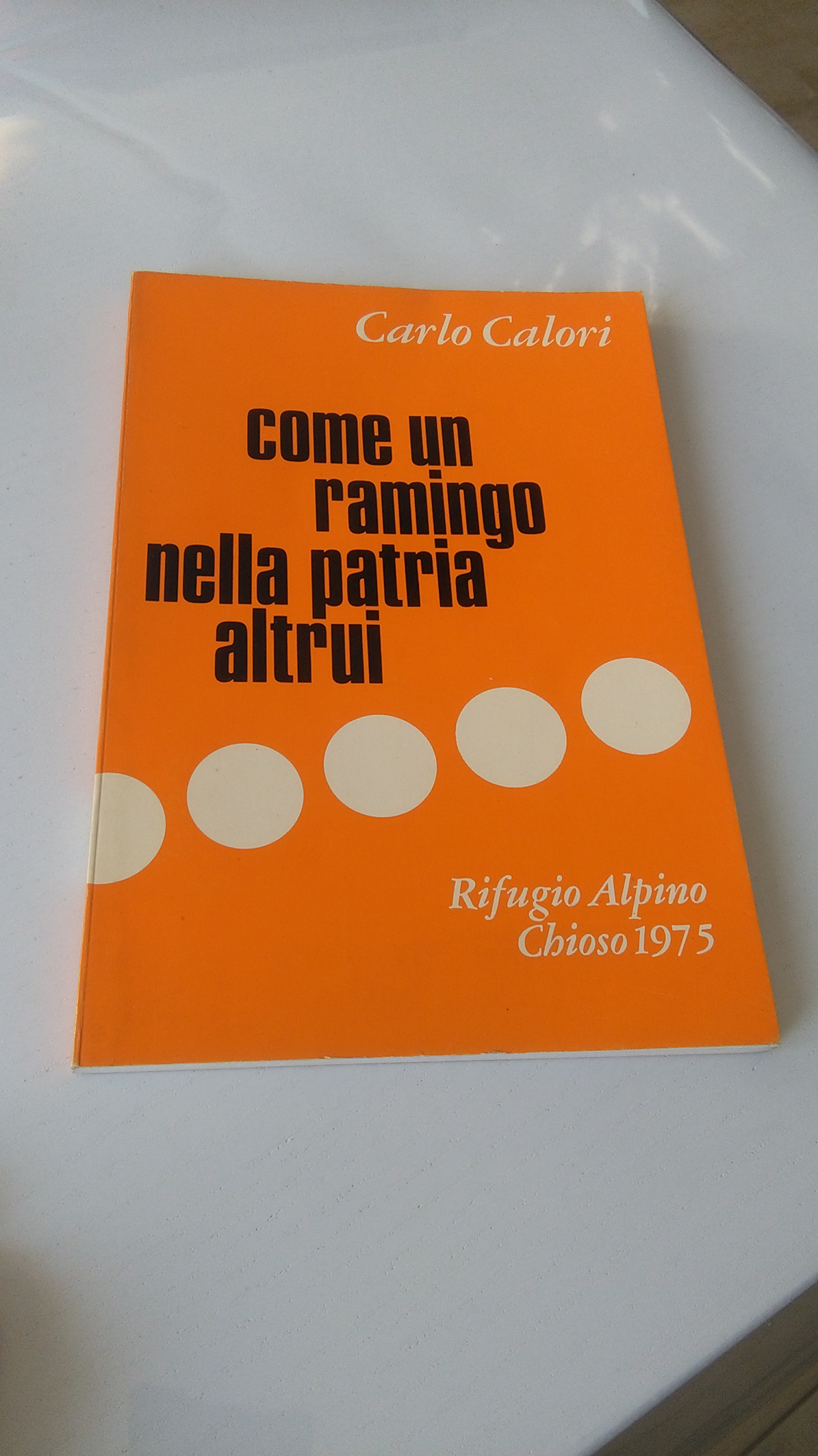 COME UN RAMINGO NELLA PATRIA ALTRUI