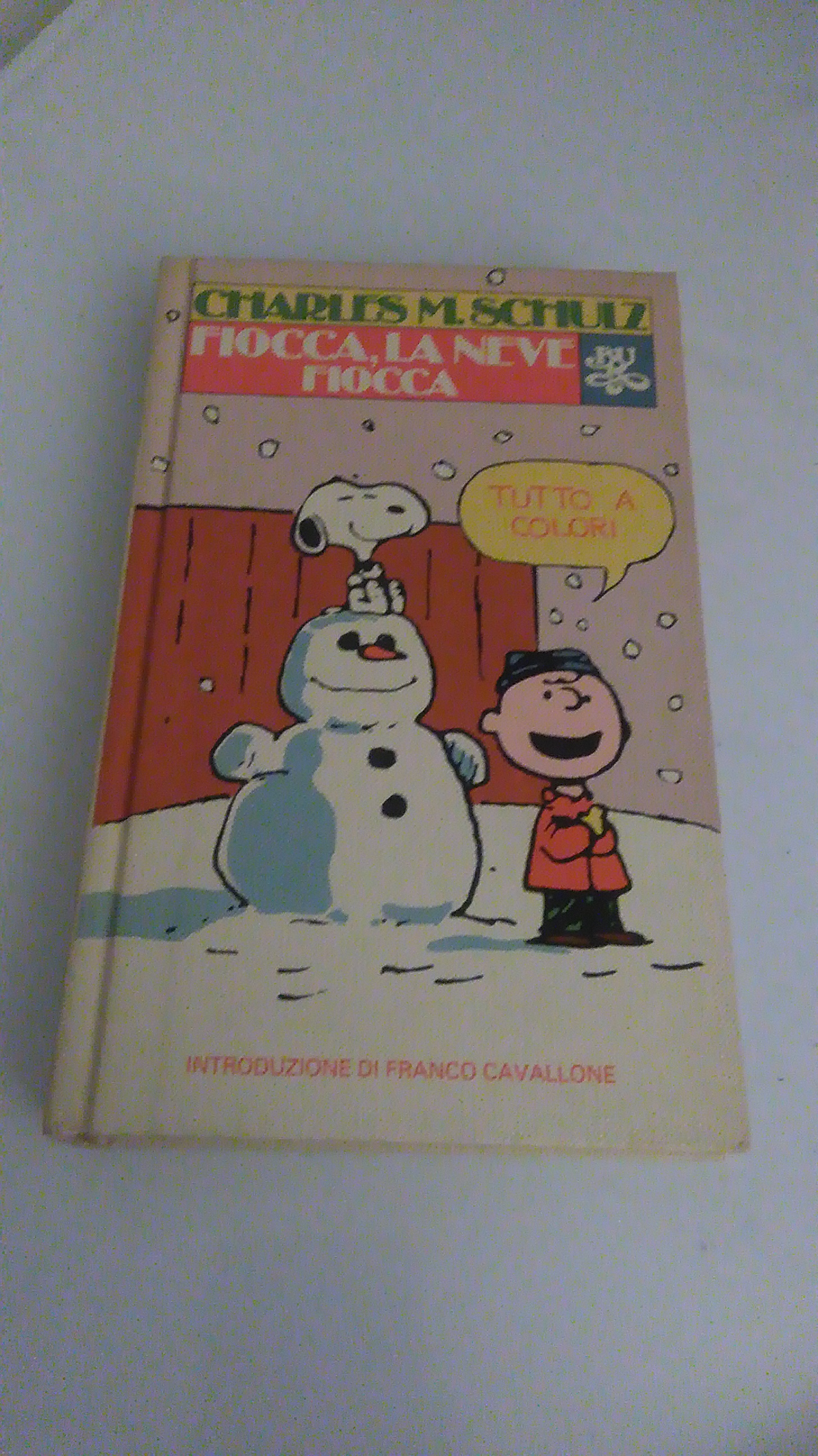 FIOCCA, LA NEVE FIOCCA.