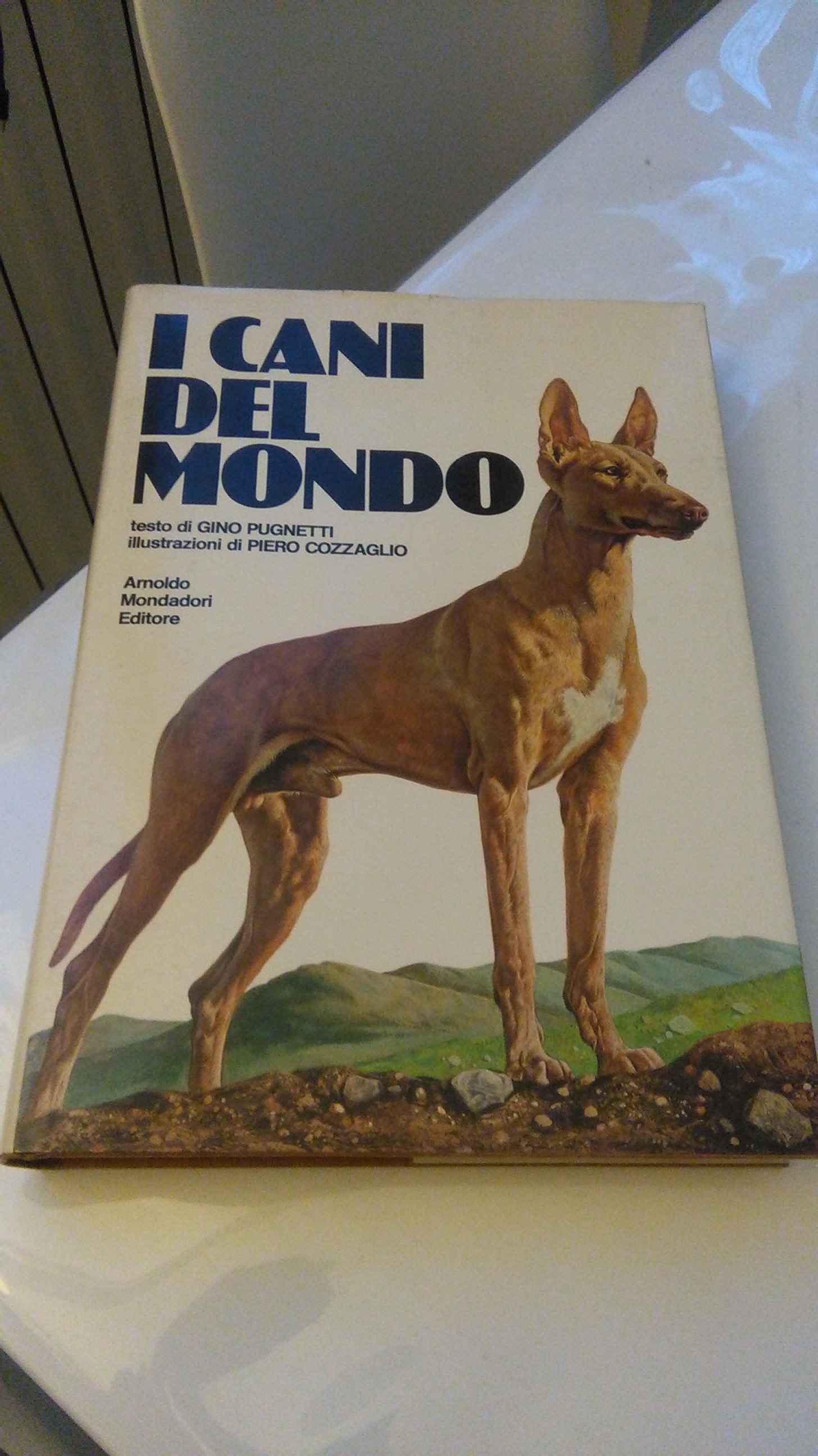 I CANI DEL MONDO