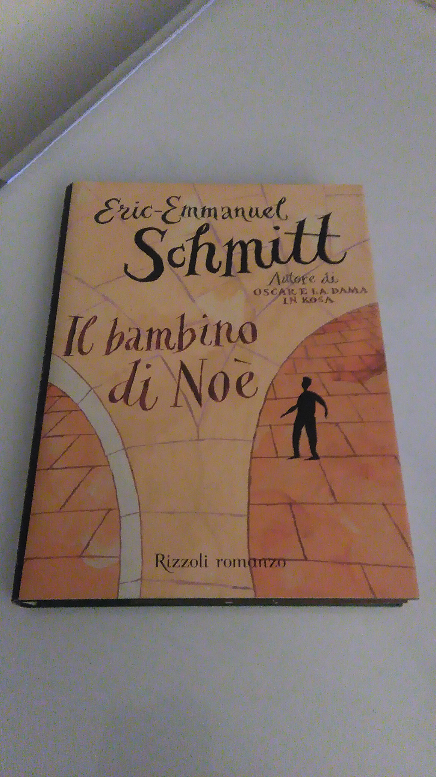 IL BAMBINO DI NOE'