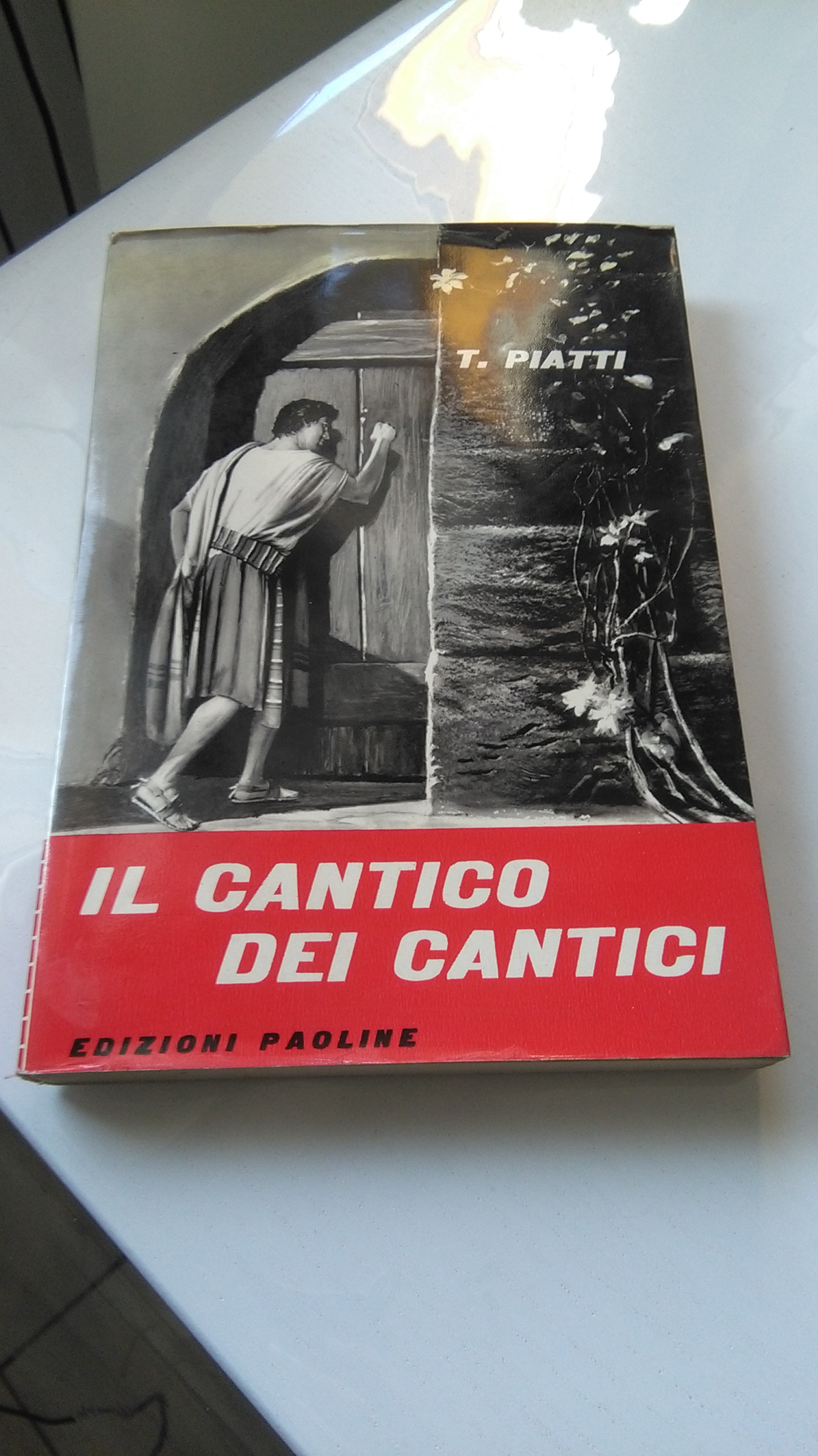 IL CANTICO DEI CANTICI