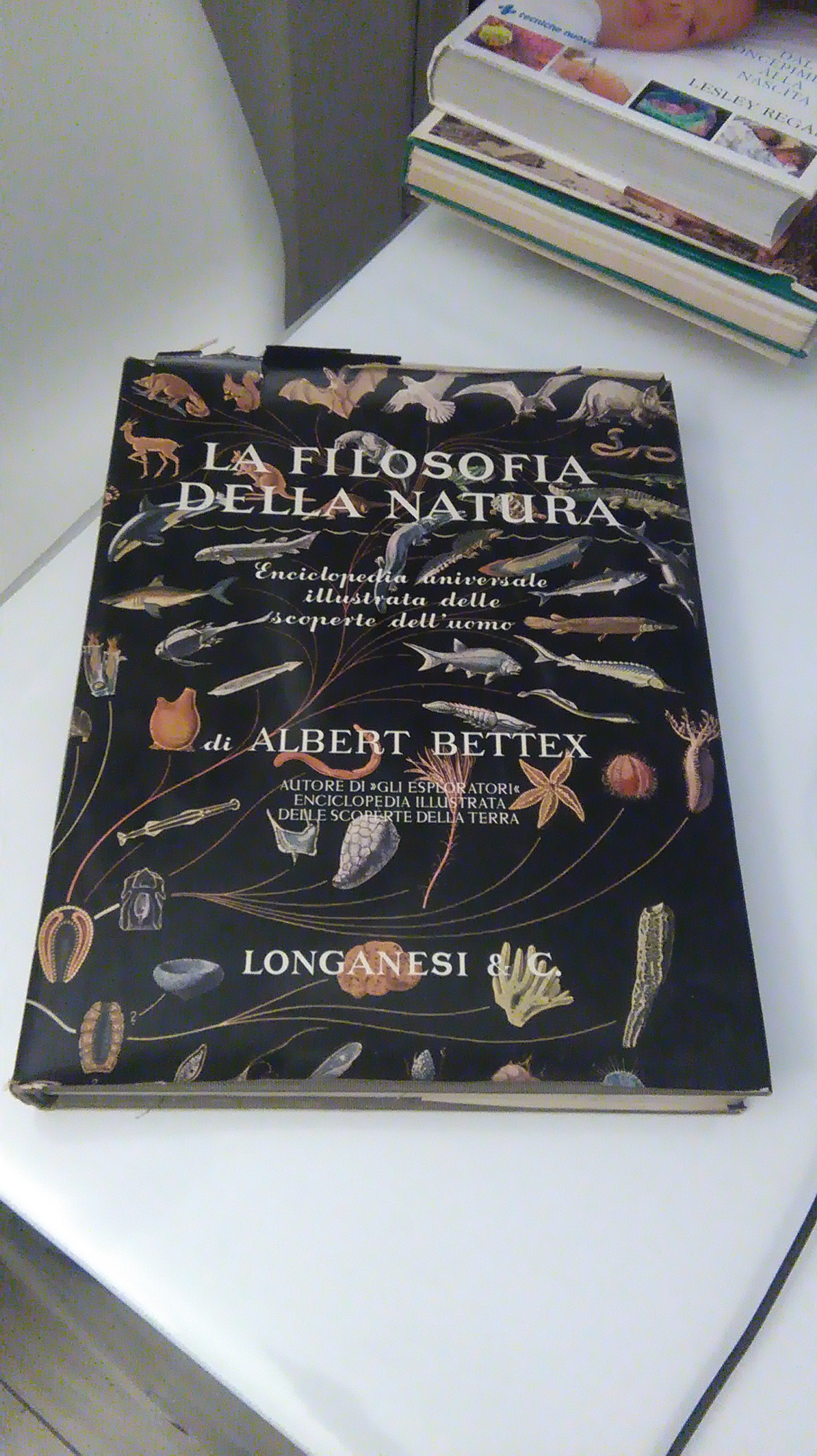 LA FILOSIFIA DELLA NATURA