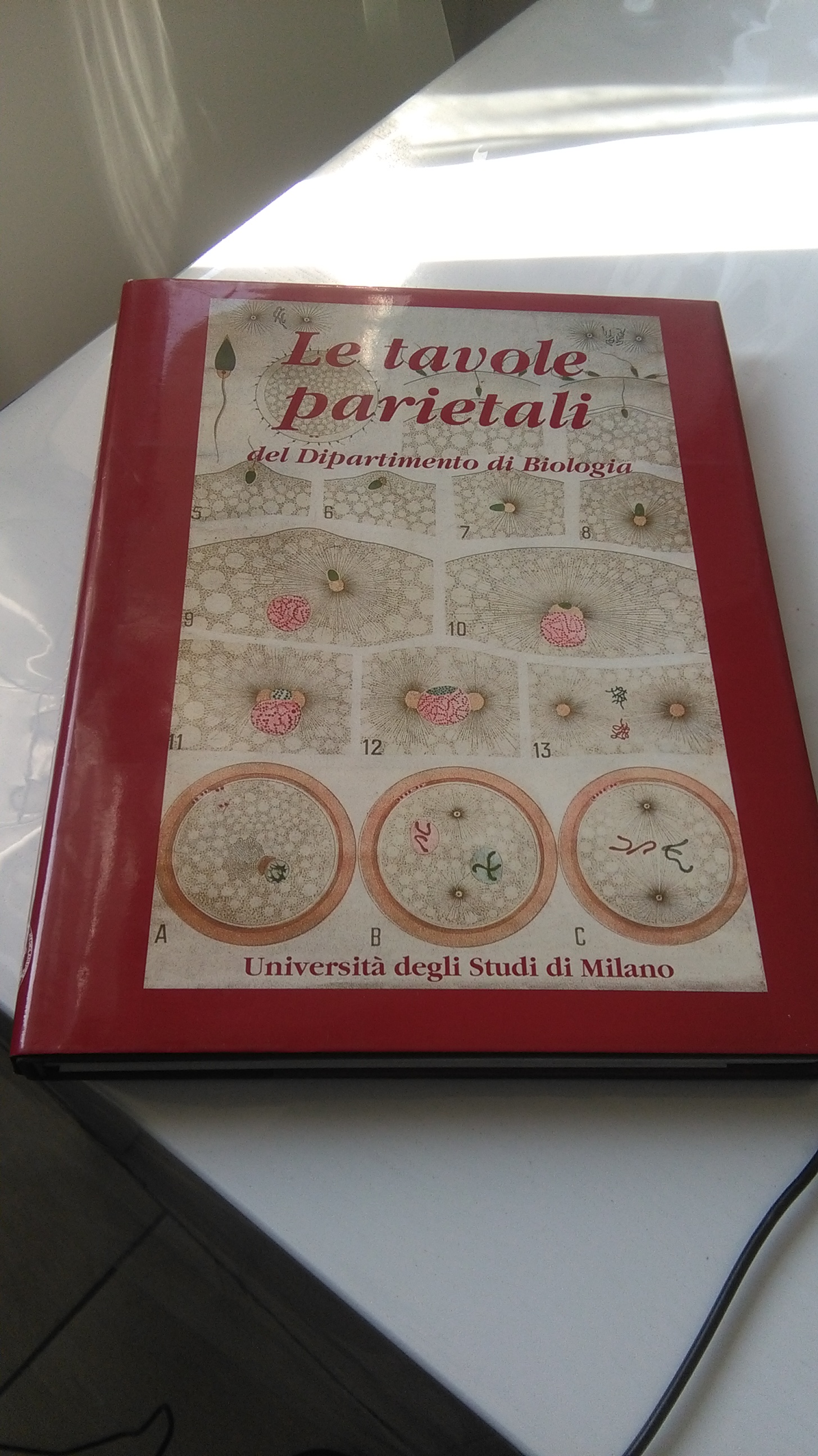 LE TAVOLE PARIETALI