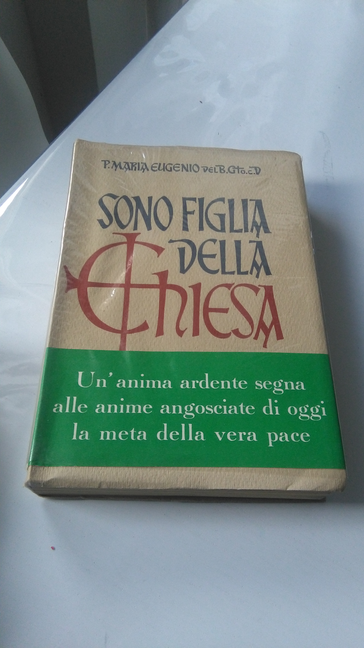 SONO FIGLIA DELLA CHIESA
