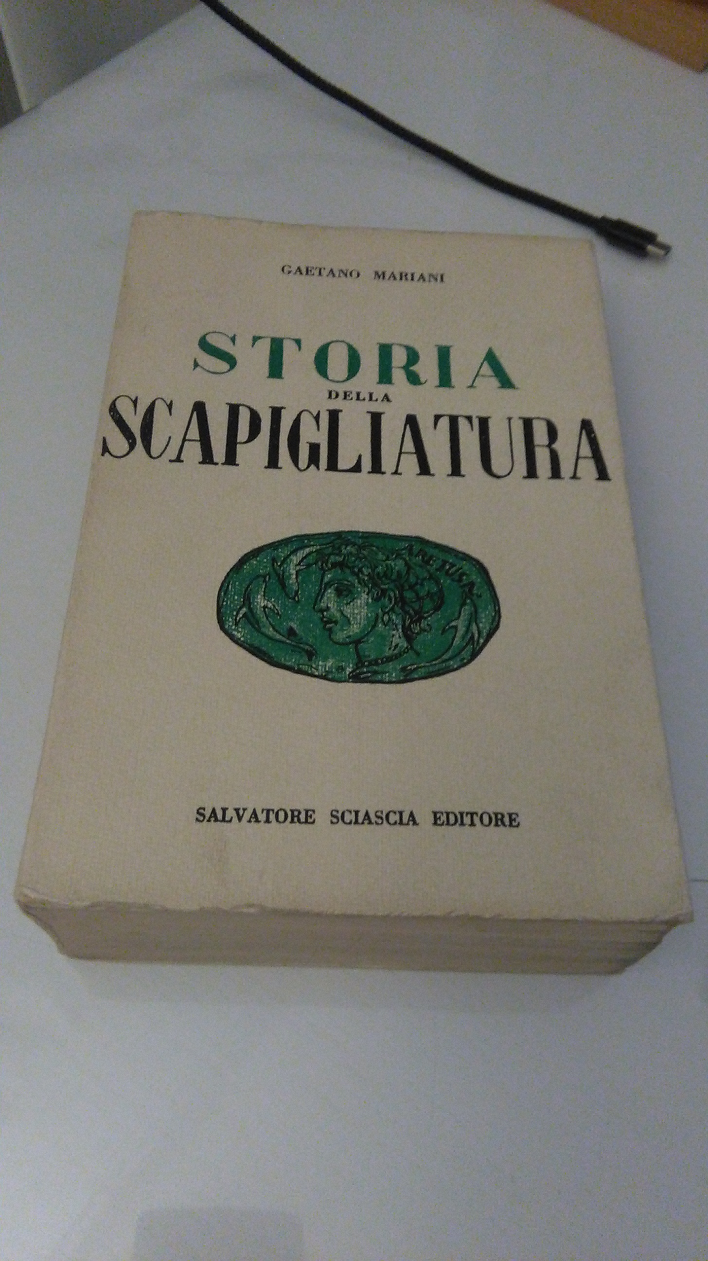 STORIA DELLA SCAPIGLIATURA