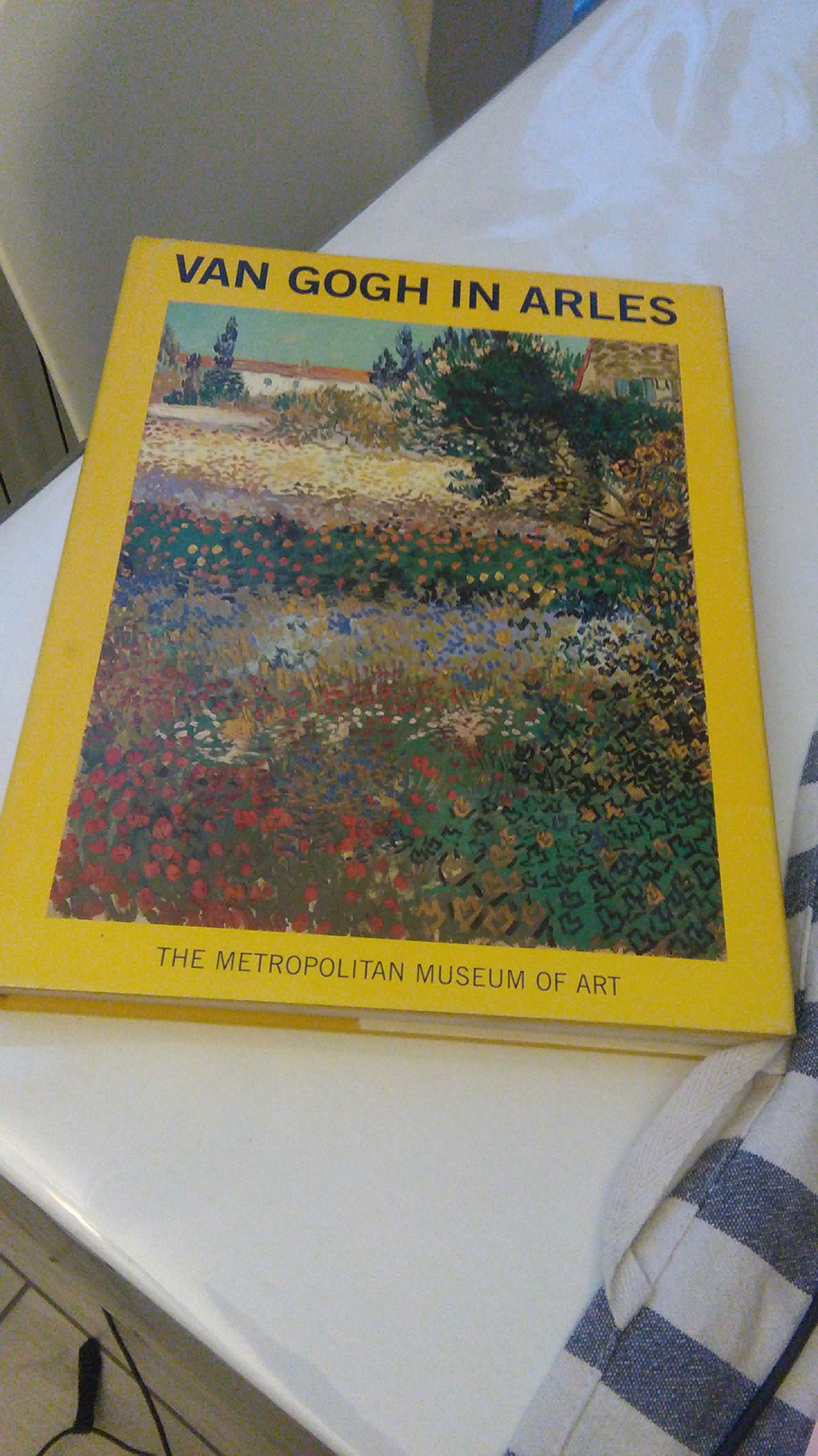 VAN GOGH IN ARLES