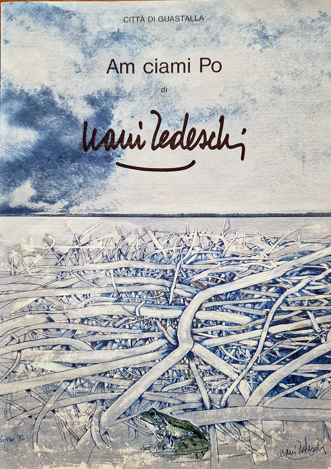 Am ciami Po. Di Nani Tedeschi. Introduzione di Giorgio Mascherpa.