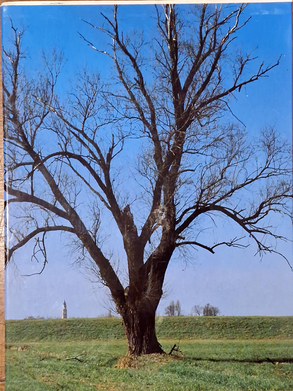 BASSA PIANURA REGGIANA.