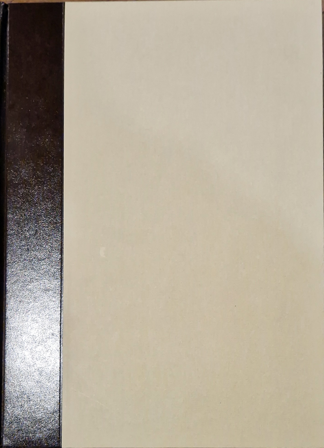 Cento pittori napoletani. A cura di Raffaele Schettini.