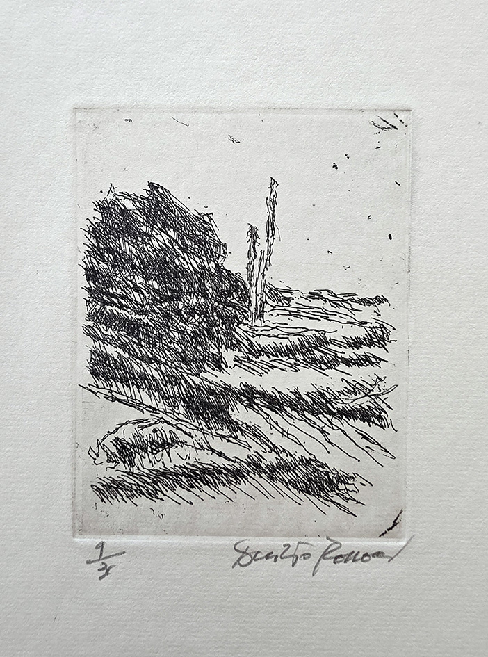 Incisioni e disegni 1948 - 2007. A cura di Agnese …