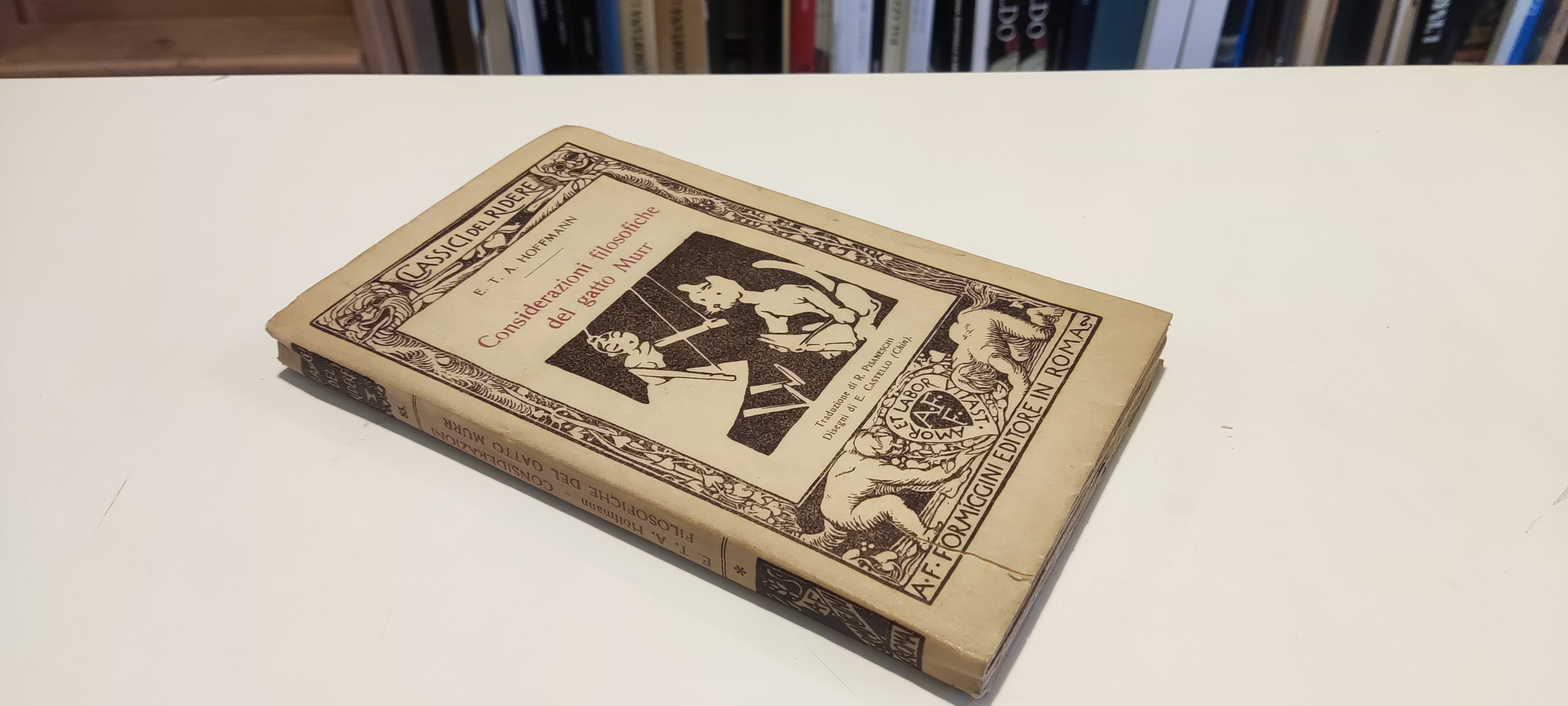 Considerazioni Filosofiche del Gatto Murr