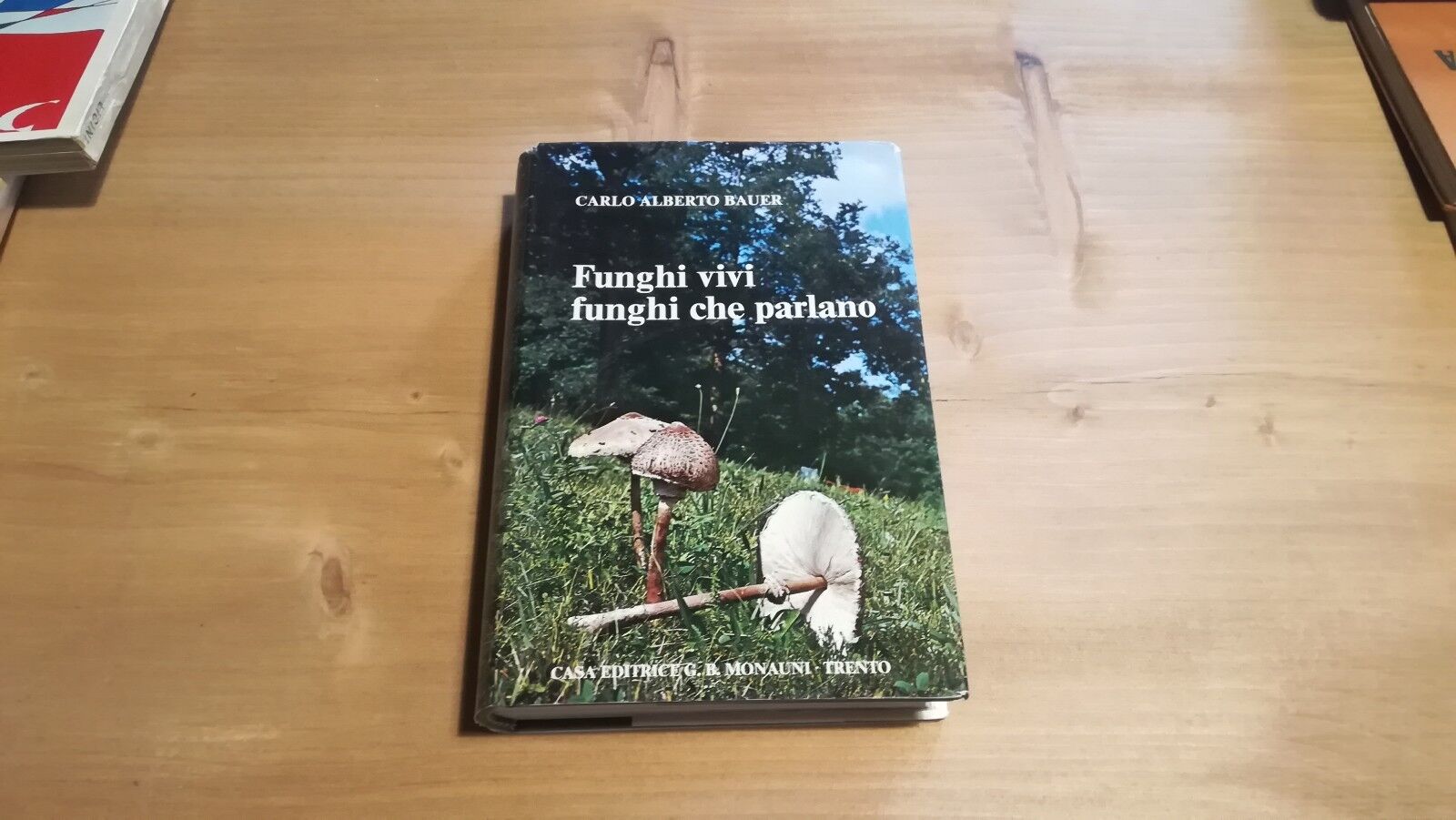 Funghi vivi, funghi che parlano