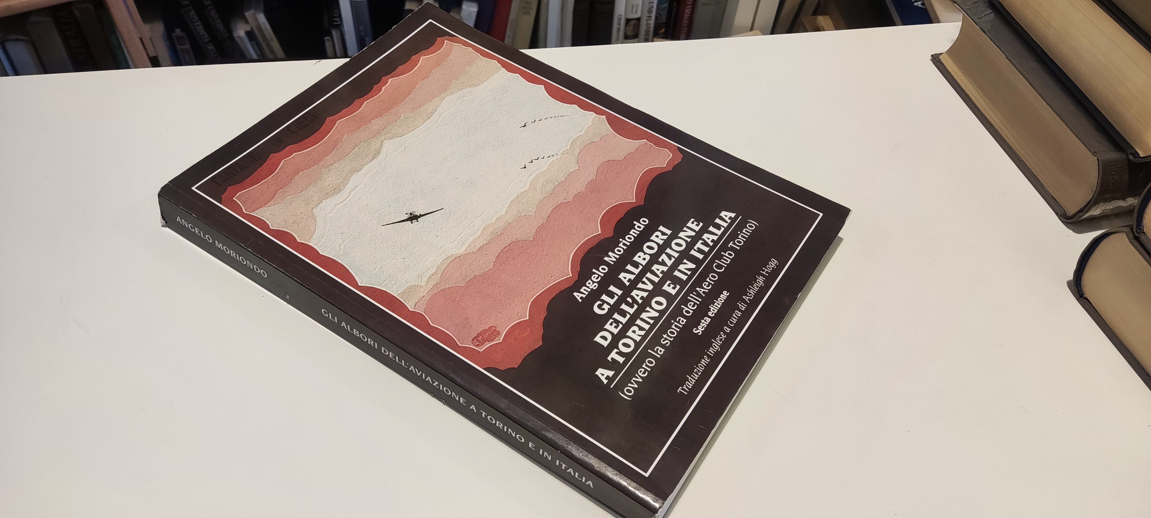 Gli Albori dell'Aviazione a Torino e in Italia