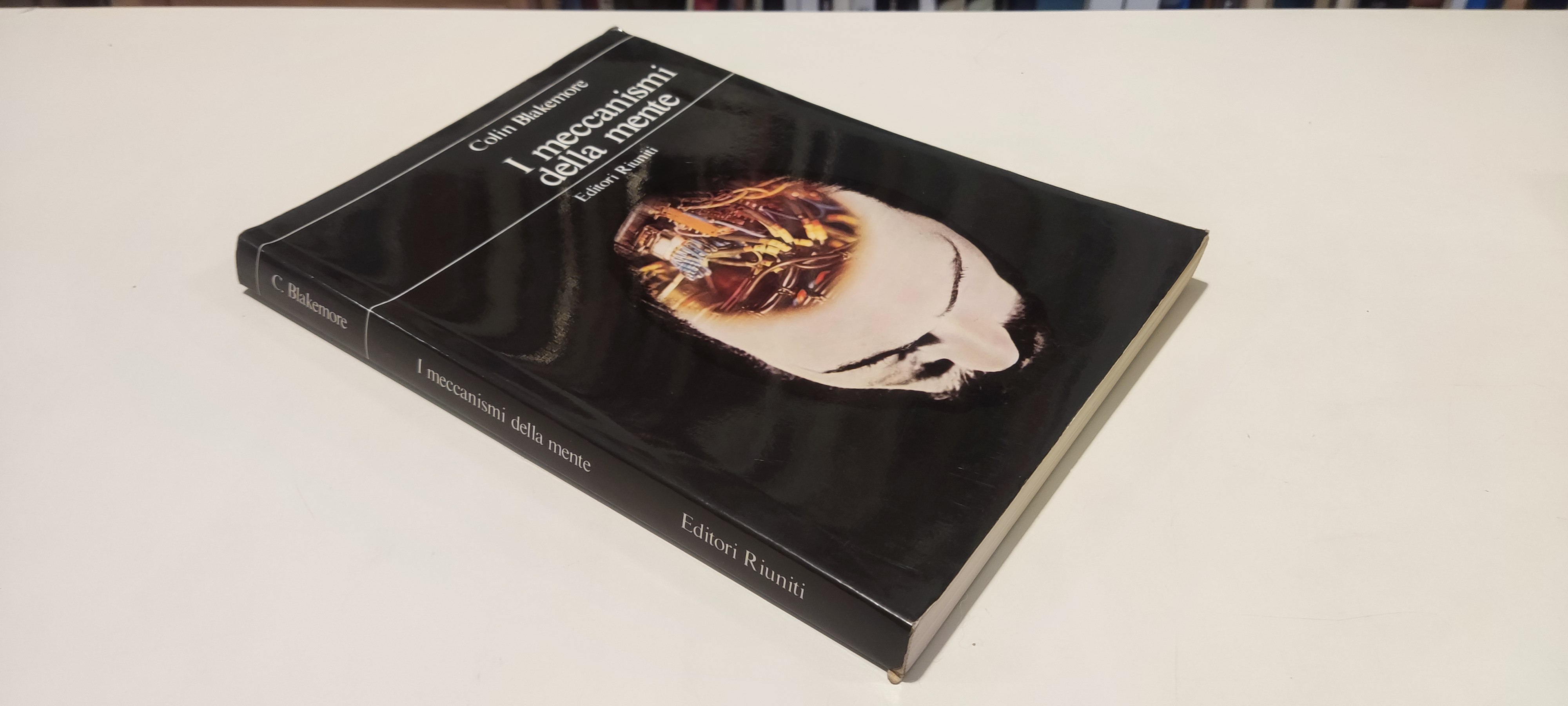 I meccanismi della mente