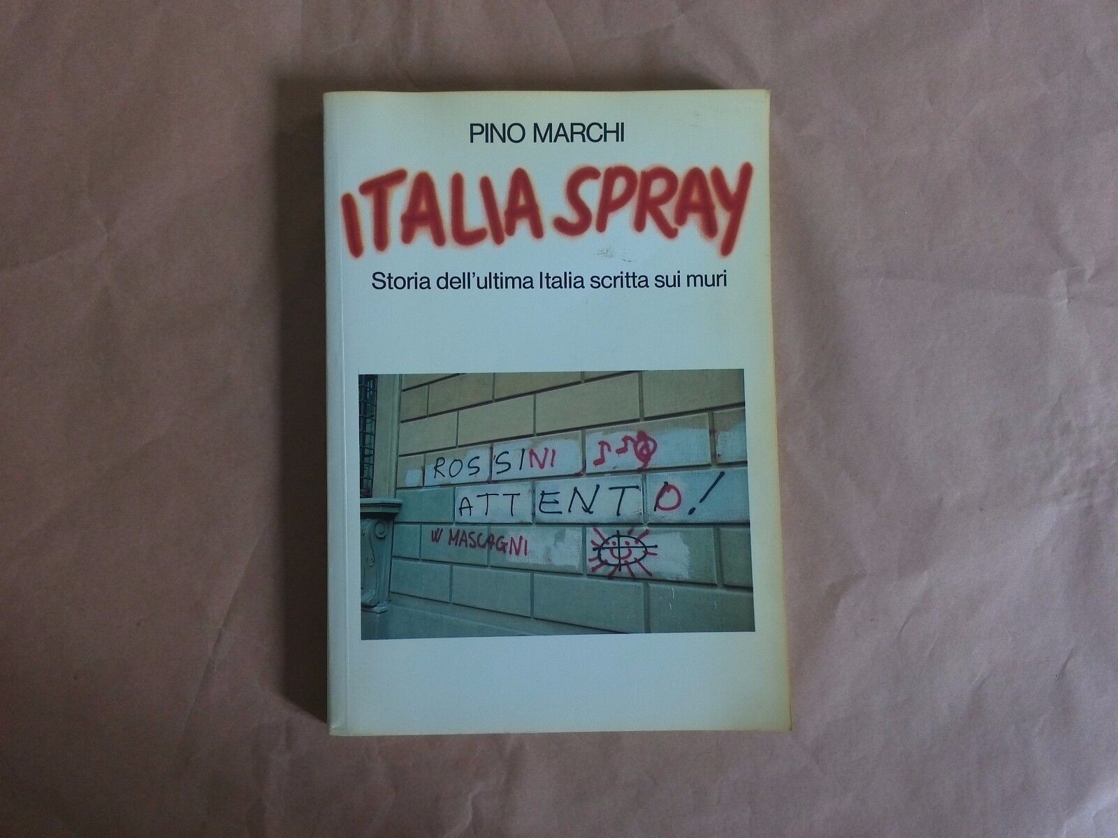 Italia Spray. Storia dell'ultima Italia scritta sui muri