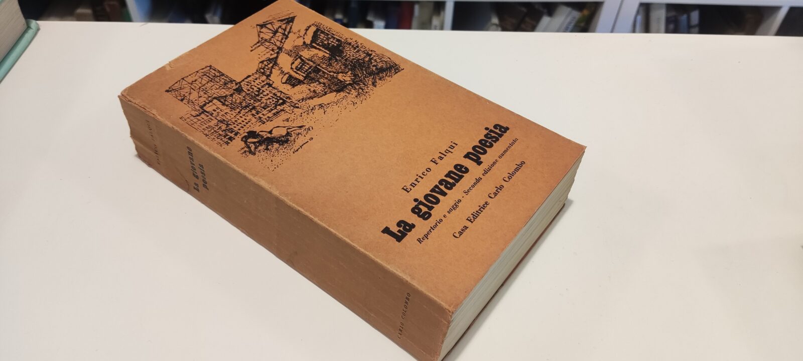 La giovane poesia