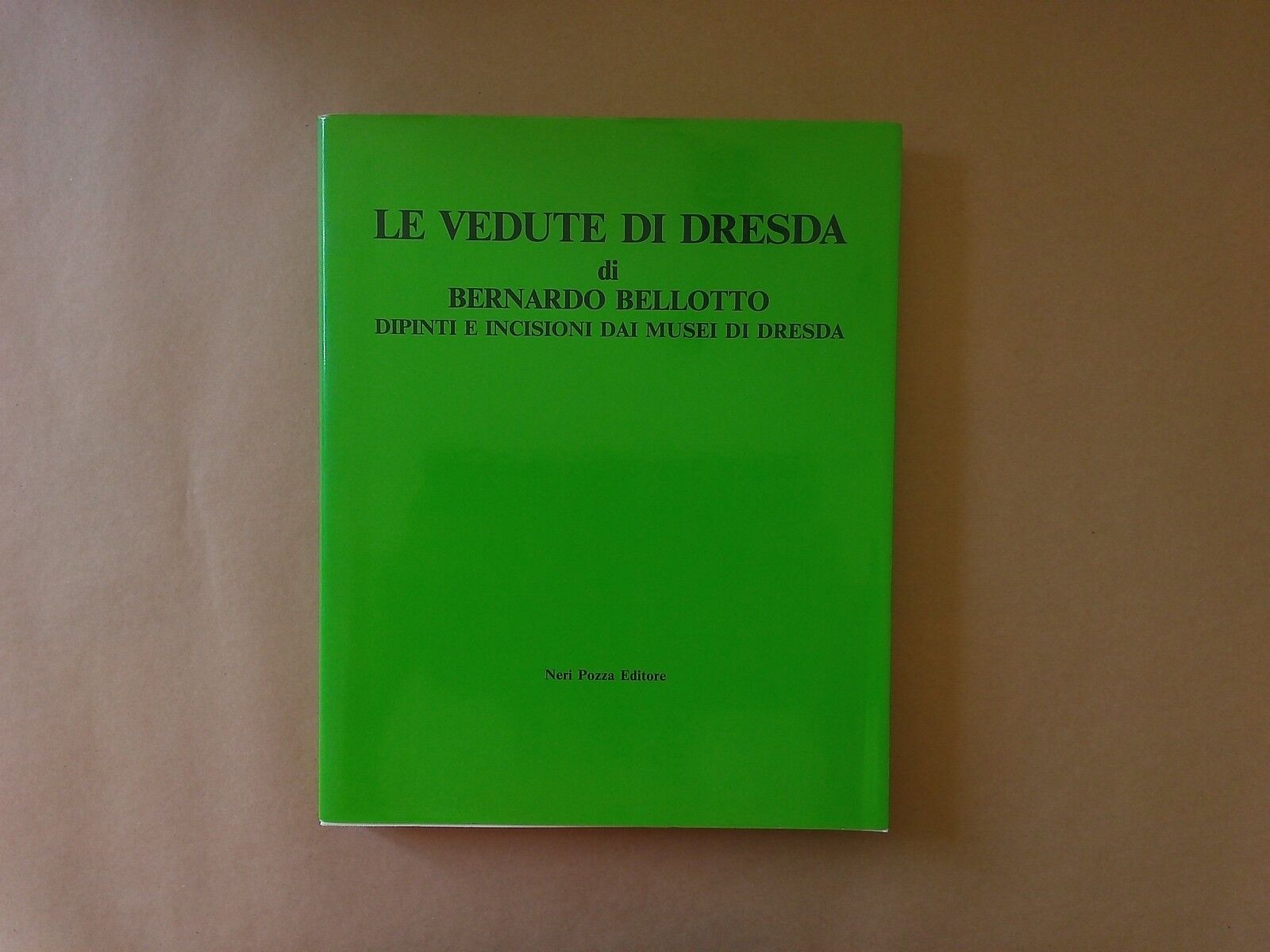 Le vedute di Dresda