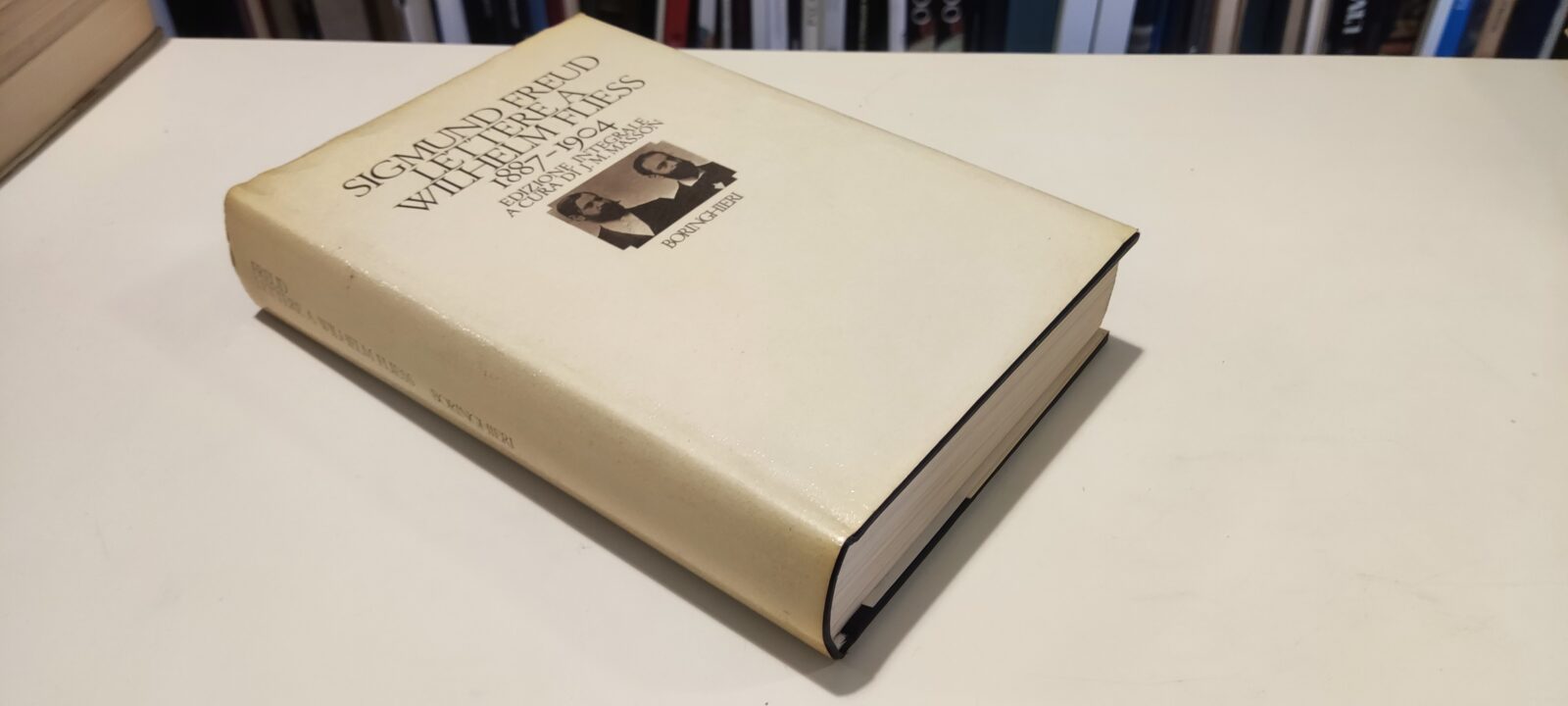 Lettere a Wilhelm Fliess 1887-1904