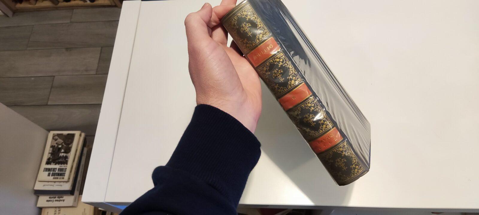 Metamorfosi o Asino D'Oro