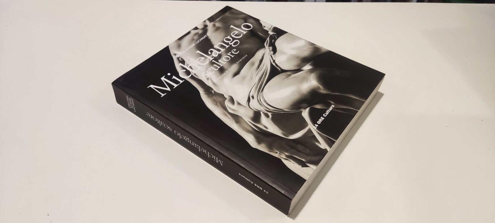 Michelangelo scultore