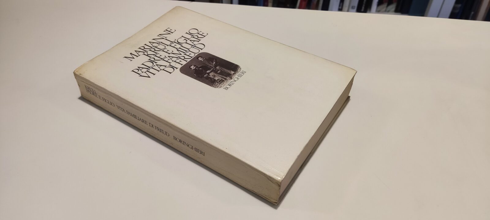Padre e Figlio. Vita familiare di Freud