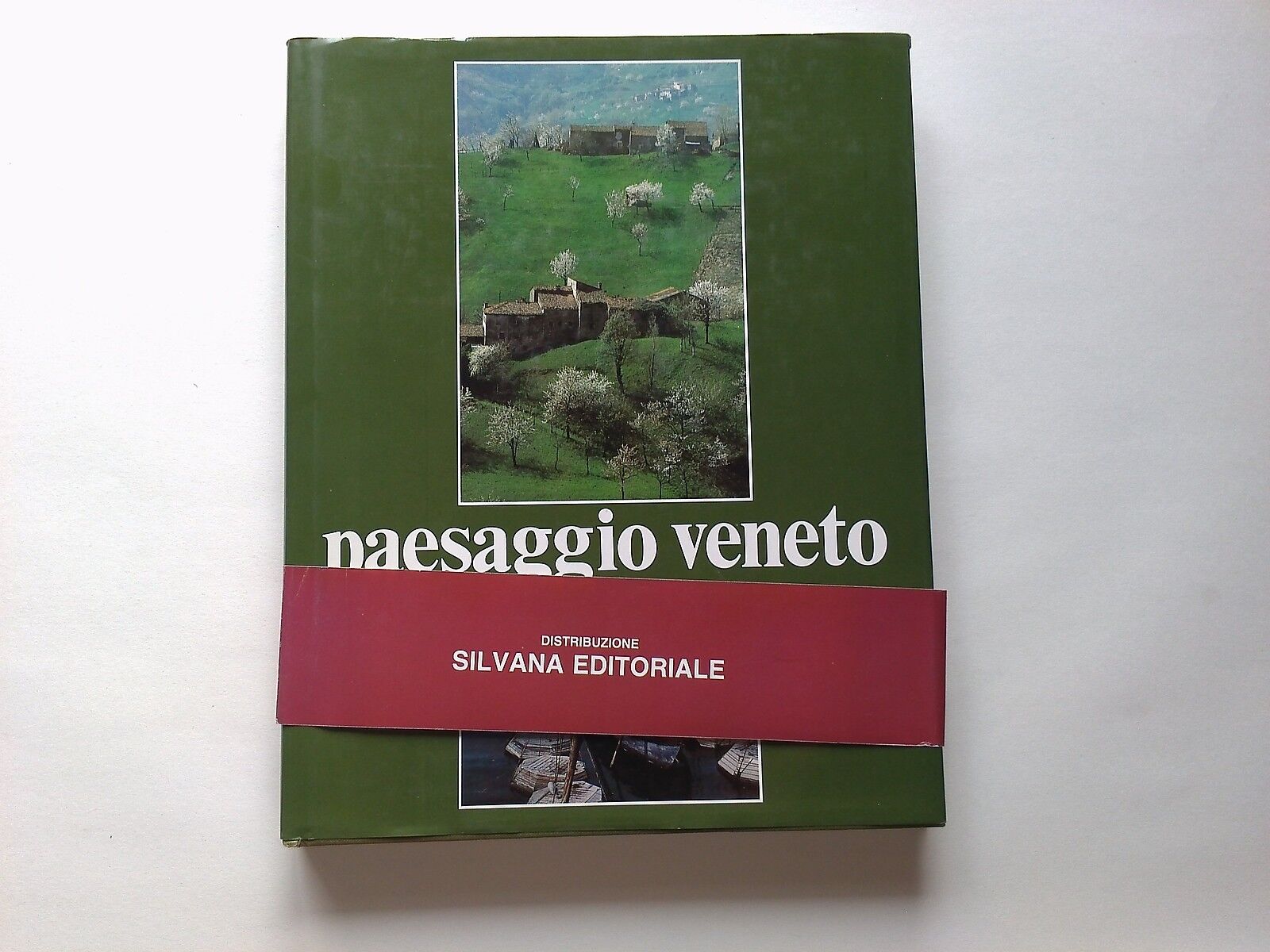 Paesaggio Veneto