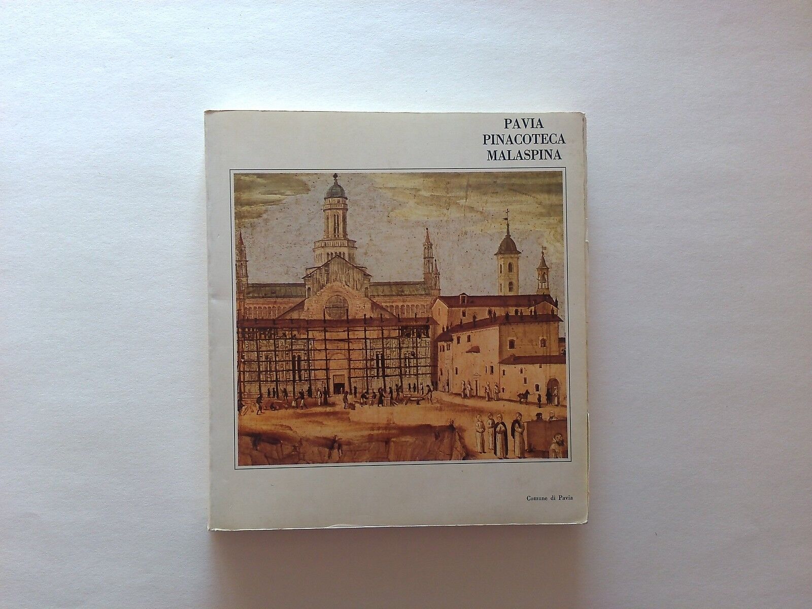 Pavia Pinacoteca Malaspina