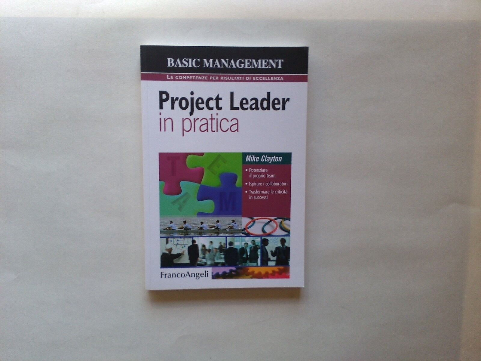 Project leader