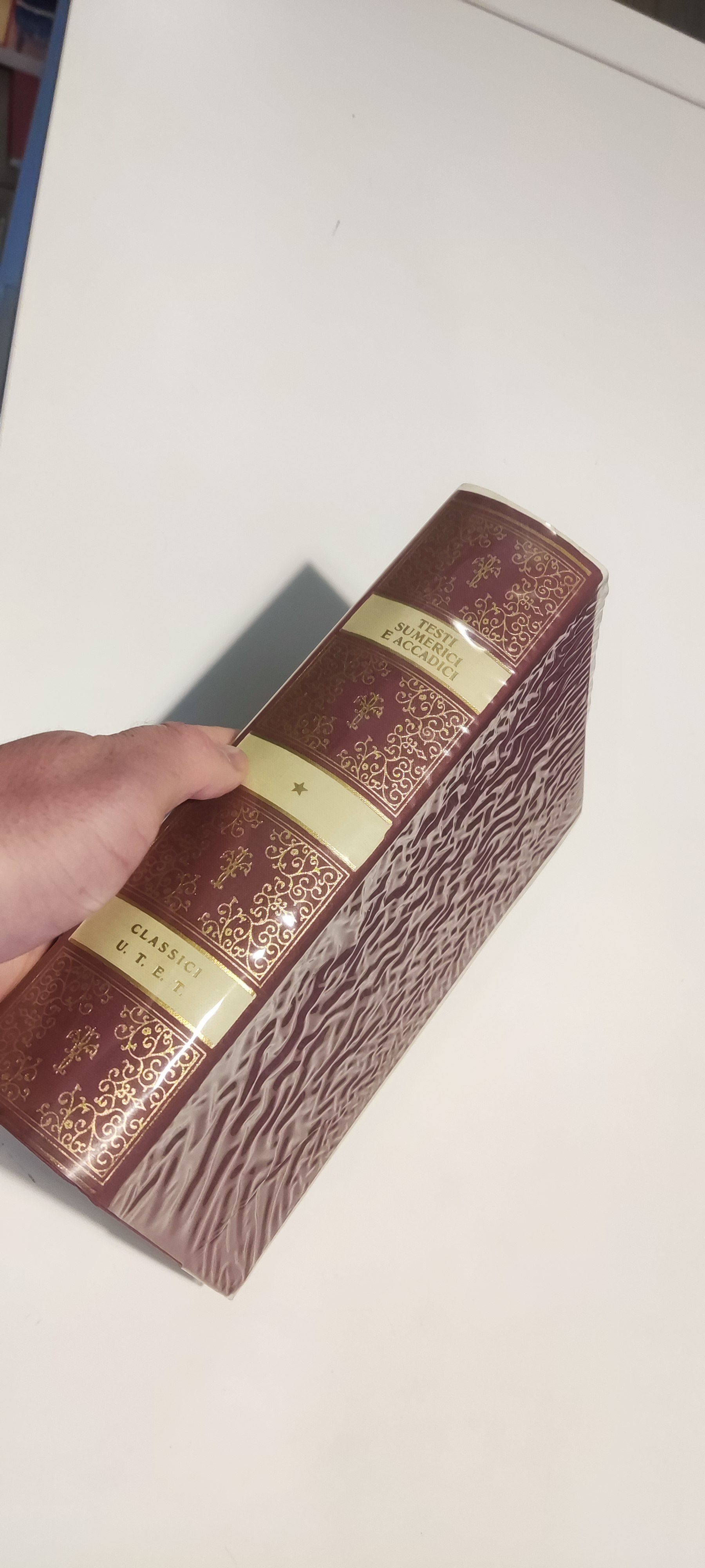 Testi Sumerici e Accadici