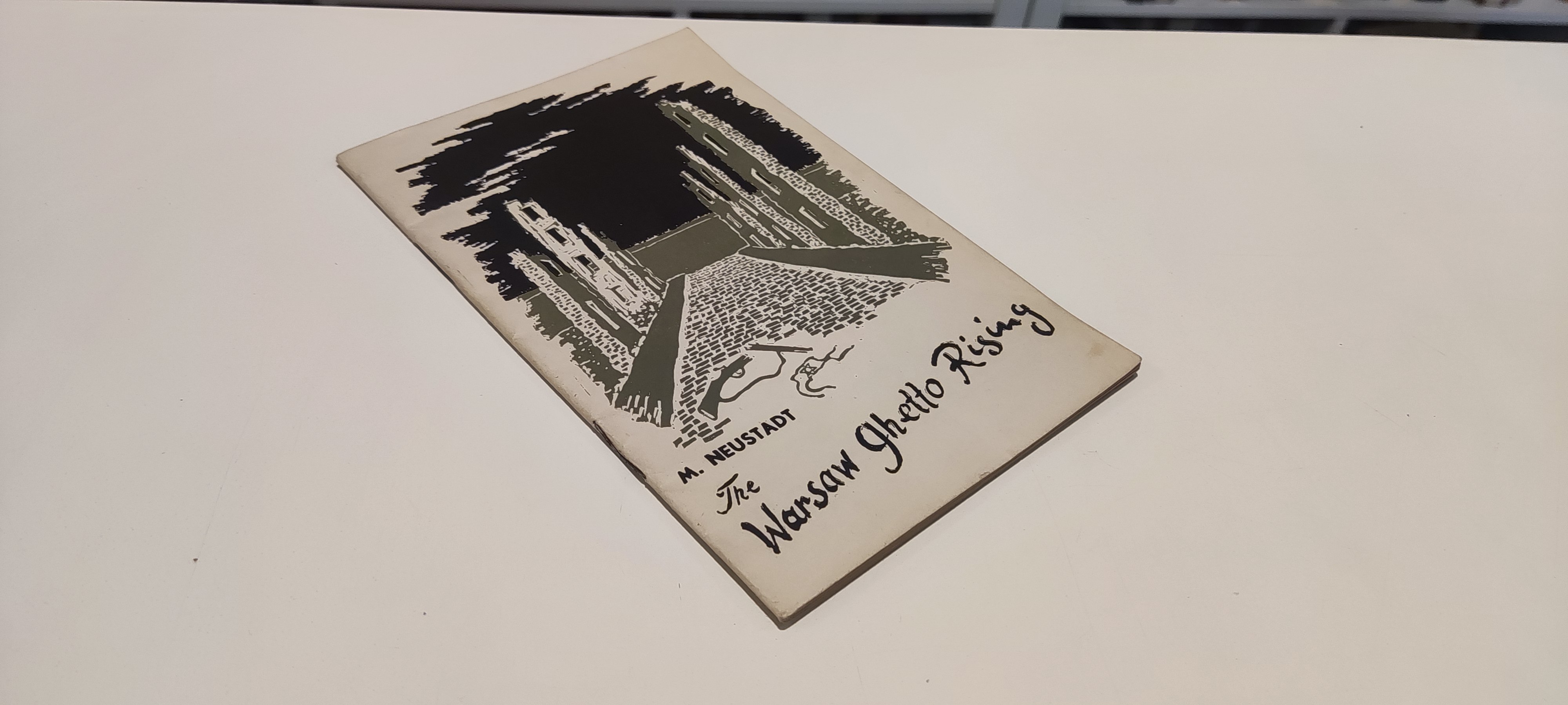 The Warsaw ghetto rising