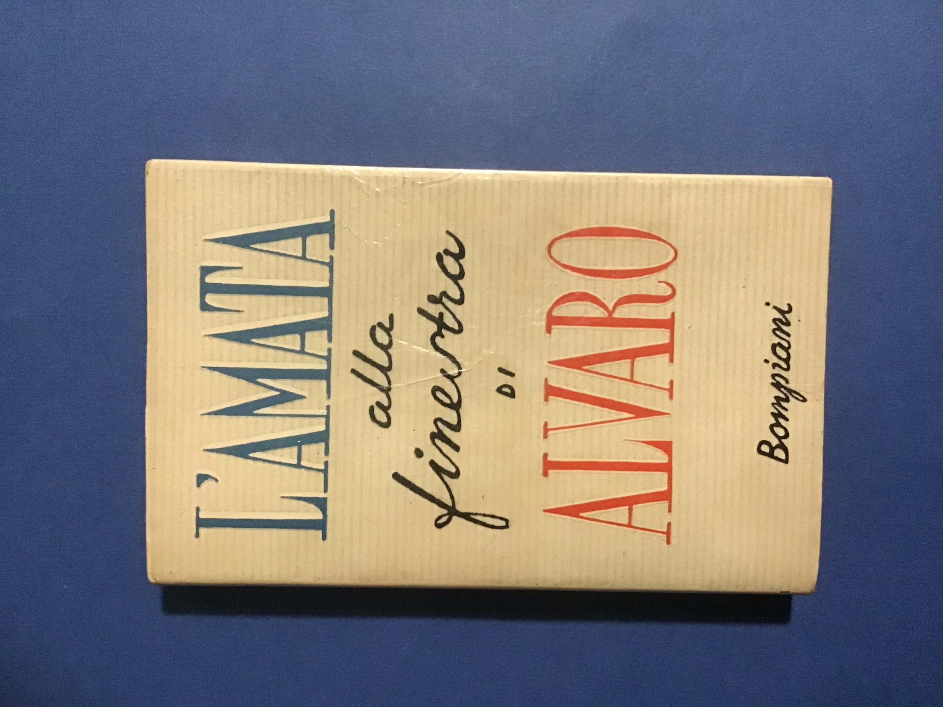 L'AMATA ALLA FINESTRA