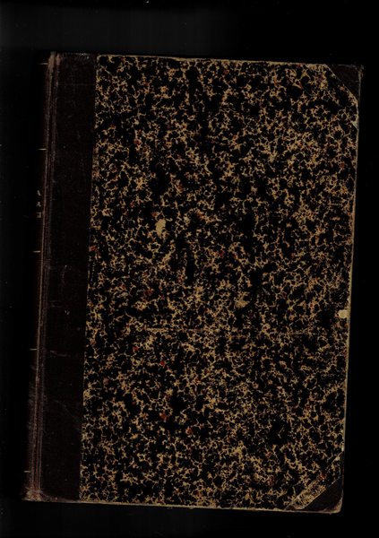 Nostra signora di Parigi.