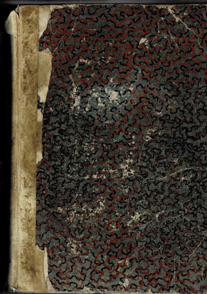 Vita del serafico patriarca S. Francesco di Assisi, scritta in …