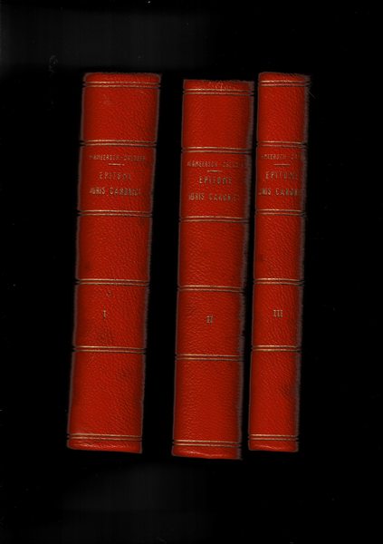 Epitome iuris canonici cum commentariis ad scholas et ad usum …
