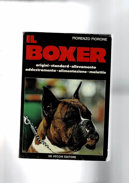 Il Boxer origini, standard, allevamento, addestramento, alimentazione e malattie.