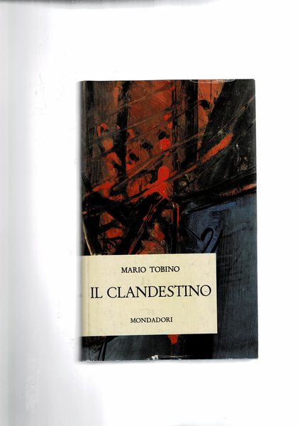 Il clandestino. Romanzo.