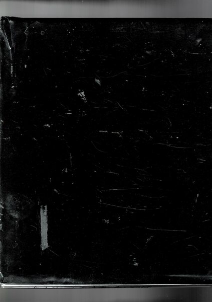 The Autobiography of a Snake, drawings by Andy Warhol.