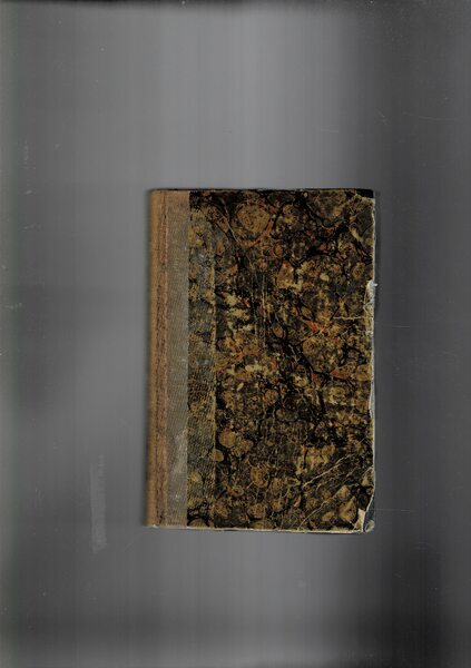 Gli spadaccini del re ovvero il misterioso monaco. Prima traduz. …